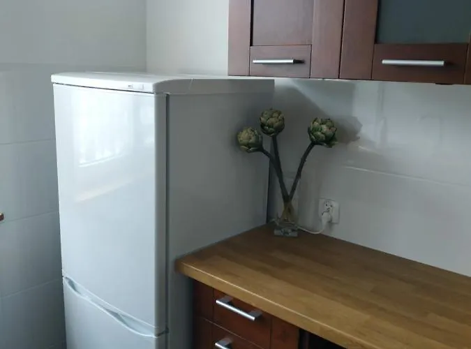 Mieszkanie Dwupokojowe W Pucku Puck